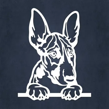 Obraz Obraz ze dřeva - Štěně Bullteriér, Bílá | DUBLEZ