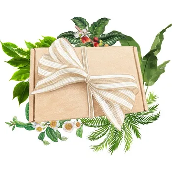 Dárkové balení semen pokojových rostlin