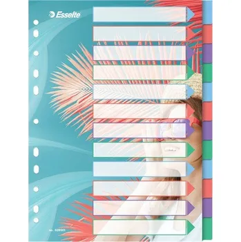 Plastové rozřazovače Esselte A4, 12 ks
