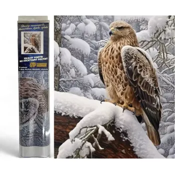 Norimpex Diamantový obrázek malování 30x40cm - Orel v zimní krajině