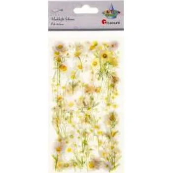 Set školních potřeb Naklejki foliowe stokrotki 6 plansz