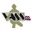 VASS