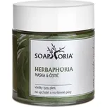 Herbaphoria maska a čistič 100ml Soaphoria