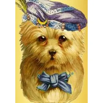 Set školních potřeb Karnet B6 brokat z kopertą Piesek wróżka