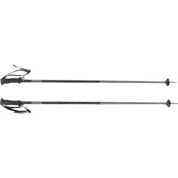 Sjezdová hůlka Sjezdové hole Salomon Polar Access Velikost: 115 black 25/26