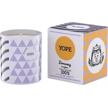Svíčka YOPE Sójová svíčka Zimní pochoutka