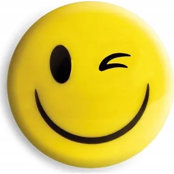 Dekorativní magnet Magnety na tabuli 30 mm 6 ks Tetis GM301-TY6