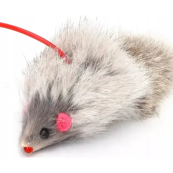 IP kamera Myš pro kočky Nobelza