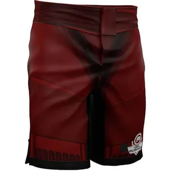 Oblečení pro bojové sporty Šortky DBX BUSHIDO Cyborg L