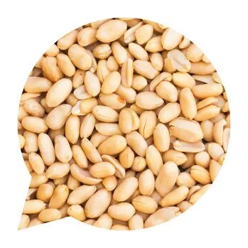 Arašídy loupané nepražené BIO