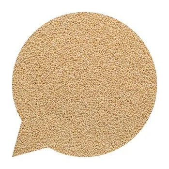 Příloha Kuskus celozrnný BIO