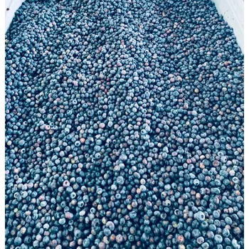 Šťáva z amerických borůvek 100% 2l (lisovaná, NFC)