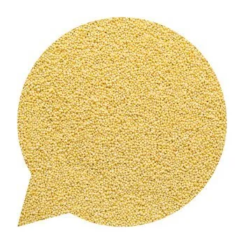 Příloha Kuskus BIO