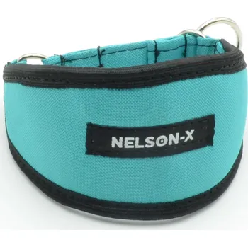 Obojek pro psa Obojek pro psa Nelson-X vel. L