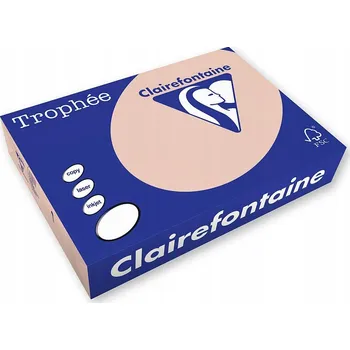 Kancelářský papír Kancelářský papír Clairefontaine formát A4 70g Lososový