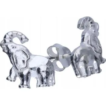 Náušnice Stříbrné náušnice 925 puzetky sloni 2,00g