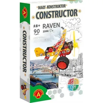 Obraz MALÝ KONSTRUKTOR - RAVEN ALEX