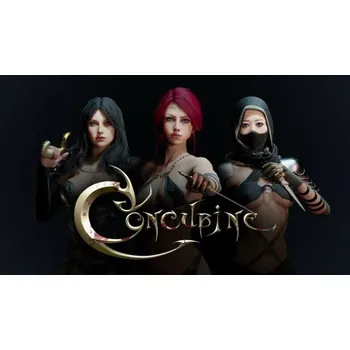 Počítačová hra Concubine PC Steam CD Key CD klíč