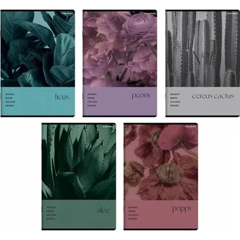 Sešit Sešit A5 linkovaný TOP-2000 60 listů