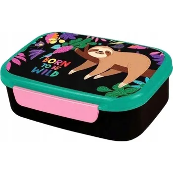 Svačinový box CP COLORINO - FOODY - SVAČINOVÝ BOX - WILDKID