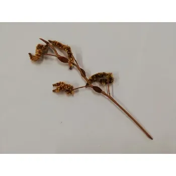 Dekorace - jehnědy - 24cm