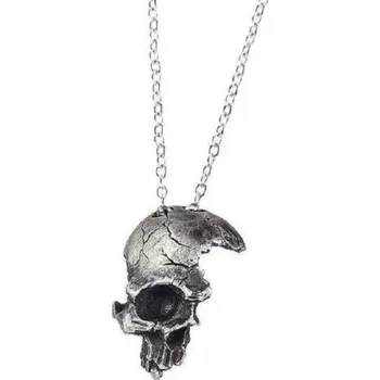 Náhrdelník Pánský náhrdelník s lebkou C1110 stříbrná