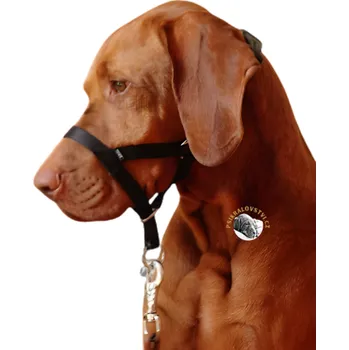 Náhubek pro psa Trixie Ohlávka proti táhnutí nylonová pro psa Velikost: XL 46 cm