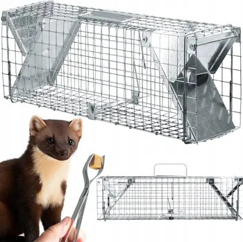 Myslivost Past na kuny Zielona Łapka