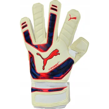 Brankářské rukavice Brankářské rukavice Puma Evo Power Grip 2 RC VEL.10