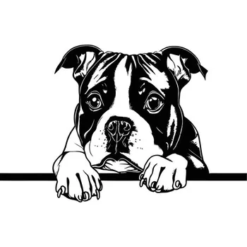 Kuchyňské prkénko Prkénko s motivem psa a textem | 31 x 13,5 cm | Budeš to jíst? Stafordširský bulteriér - B