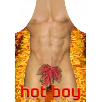 Obraz Zástěra Darymex Hot Boy 70x50 cm