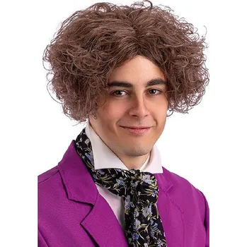 Karnevalová paruka Carnival Toys Hnědá pánská paruka Willy