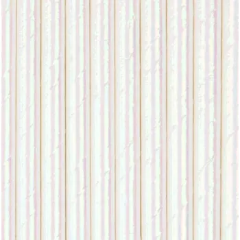 Papírová Brčka PartyPal 10 ks