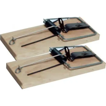 Pastičky na myši dřevěné