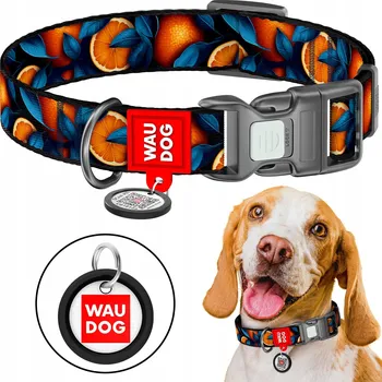 Obojek pro psa Materiálový obojek pro psa Waudog, velikost L