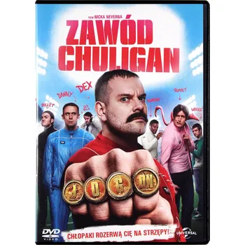 DVD film DVD - Zawód Chuligan DVD disk