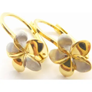 Náušnice Klenoty Budín Dámské klasické zlaté náušnice z bílého a žlutého zlata 585/1,52gr HK2206 (Klenoty Budín Dámské klasické zlaté náušnice z bílého a žlutého zlata 585/1,52gr HK2206)