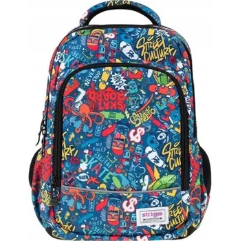 Školní batoh Školní batoh vícekomorový Strigo, vícebarevný, 24 l