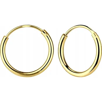 Náušnice STŘÍBRNÉ NÁUŠNICE KRUHY ZLACENÉ