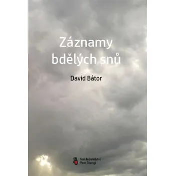 Poezie Záznamy bdělých snů