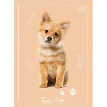 Zápisník A6 s mřížkou Interdruk, 32 listů