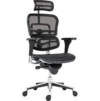 Dispečerské křeslo Ergohuman síťovina