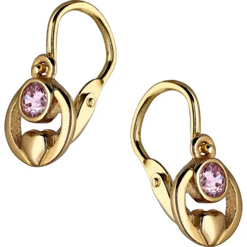 Náušnice Zlaton Náušnice žluté zlato 1.1g 000020305246