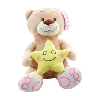 plyšák medvídek s hvězdičkou růžový 23 cm