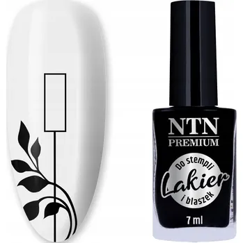 Lak na nehty Lak na razítka a zdobení nehtů ČERNÝ 7ml – NTN Premium
