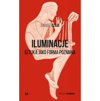 Iluminacje. Sztuka jako forma poznania - Czaja Dariusz
