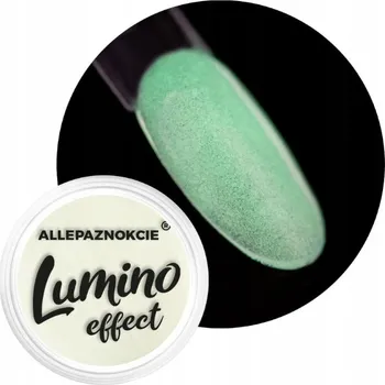 Prášek na nehty Ozdoby Na Nechty ALLEPAZNOKCIE 2g Lumino Effect Svítící Č.13