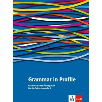 Německý jazyk Grammar in Profile - Hellyer-Jones, Rosemary