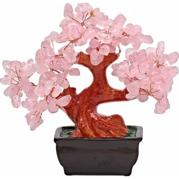 Bonsai z růženínu - dekorace domů a kanceláře cca 15 x 17 cm
