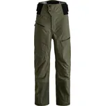 Ravine Plus 3L Pants Men's Dark Wild Herbs S